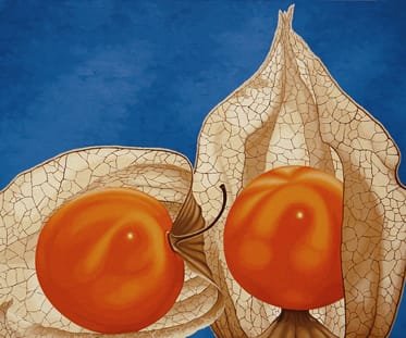 FILIGRANA EN CONTRALUZ