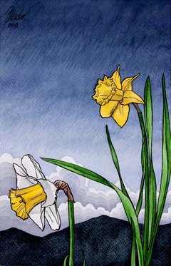 NARCISOS