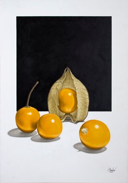 LOS JUEGOS DE KELLY I